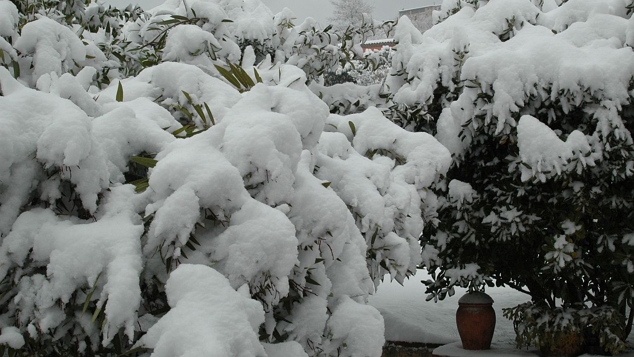 15DSC_0079