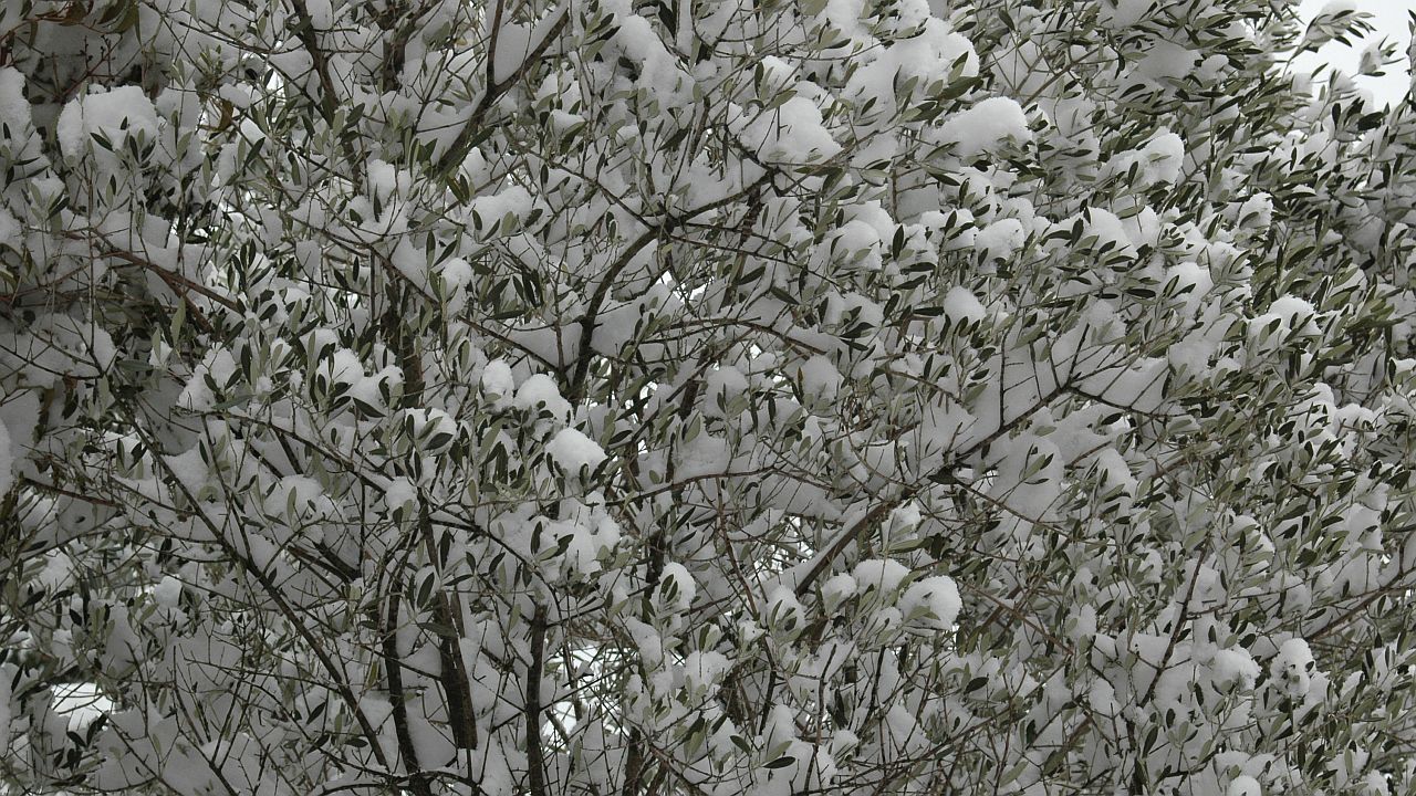 20DSC_0086