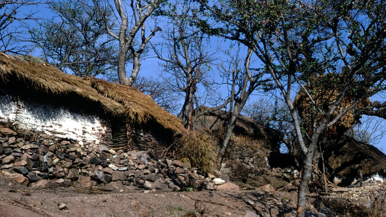 231Taxco