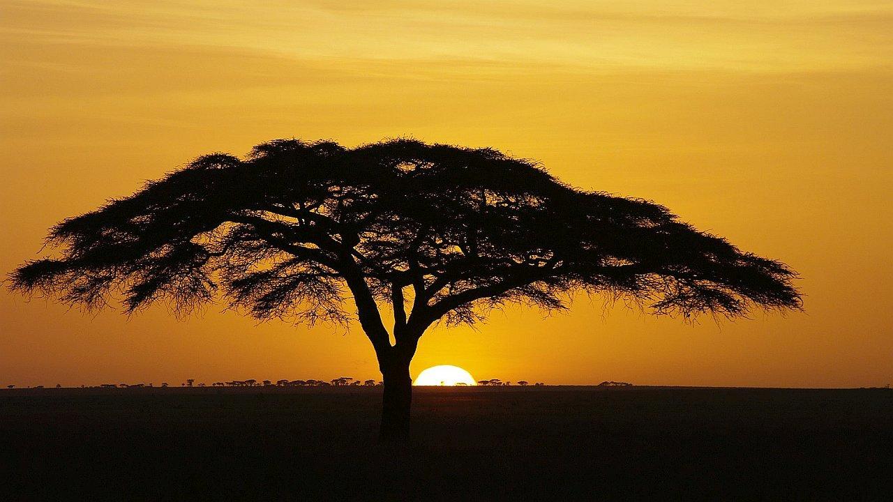 15sunset